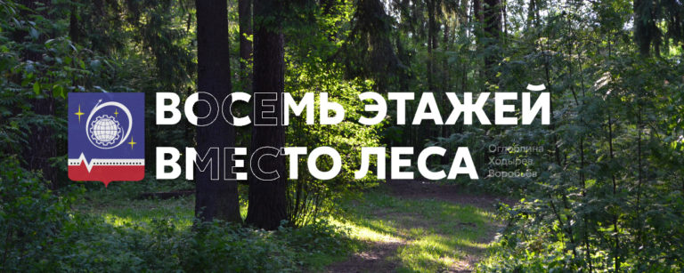 Ивантеевский лес