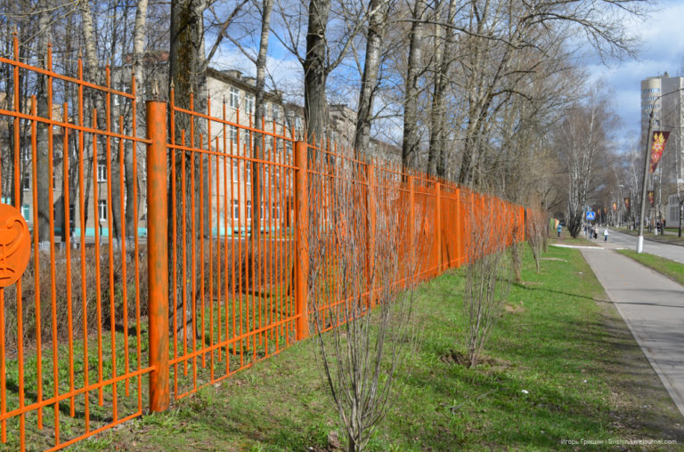 И снова оранжевый забор ЦГБ