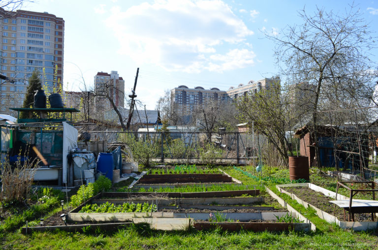 Прогулка по СНТ Энергия