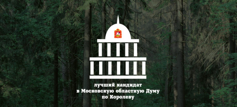 Лучший кандидат в Московскую областную Думу