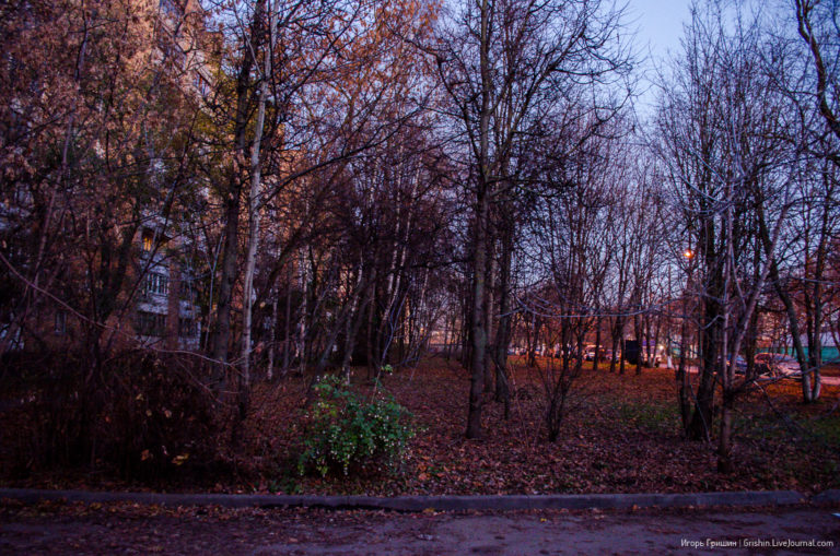 Жизнь у точечной застройки — пр-т Королёва, 2б